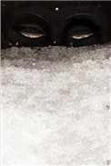 见雪深小说全本免费阅读